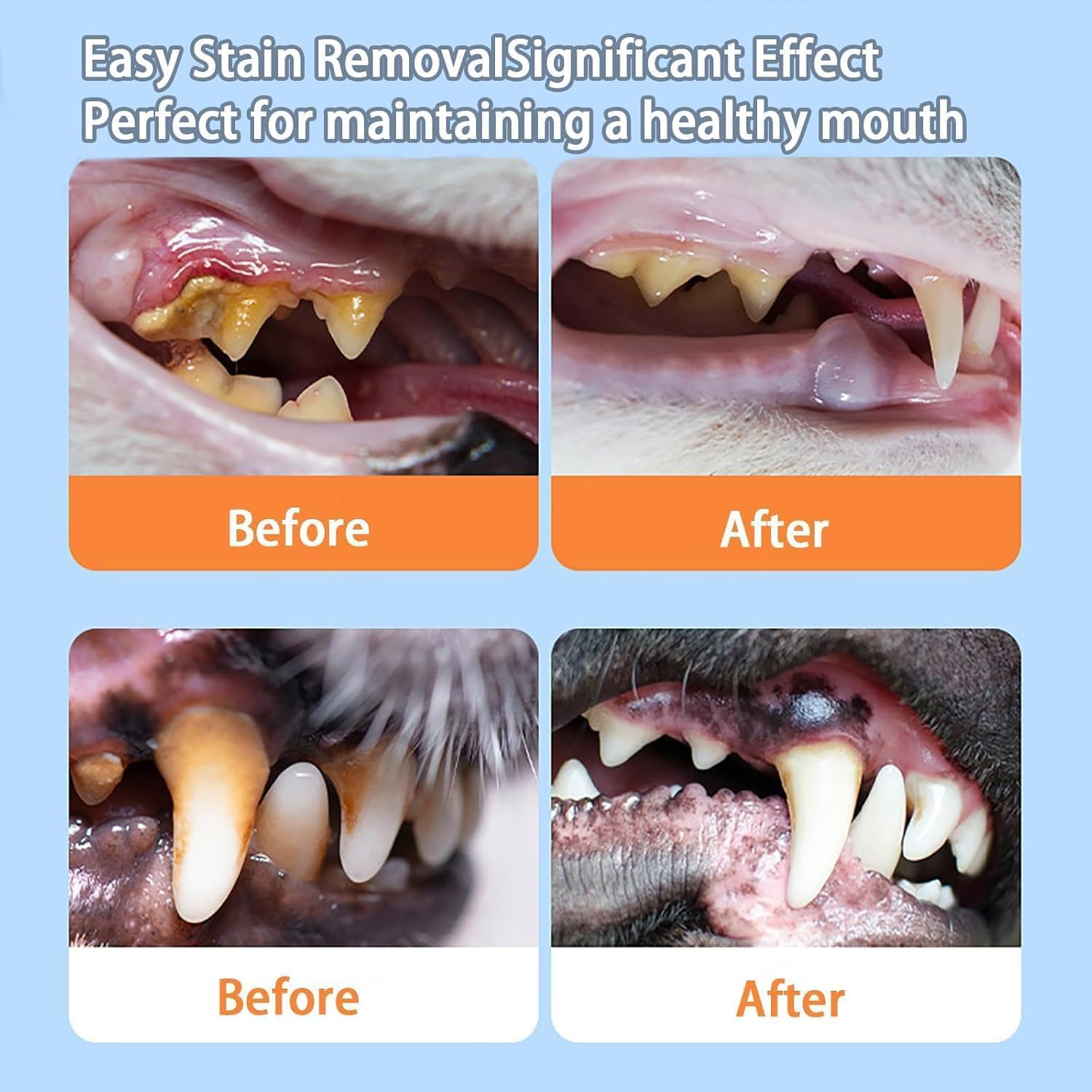 Aditivo de agua dental líquida para el cuidado bucal de mascotas, 200 ml, para gatos y perros, limpieza de dientes, sarro y aliento fresco para uso diario en perros y gatos.