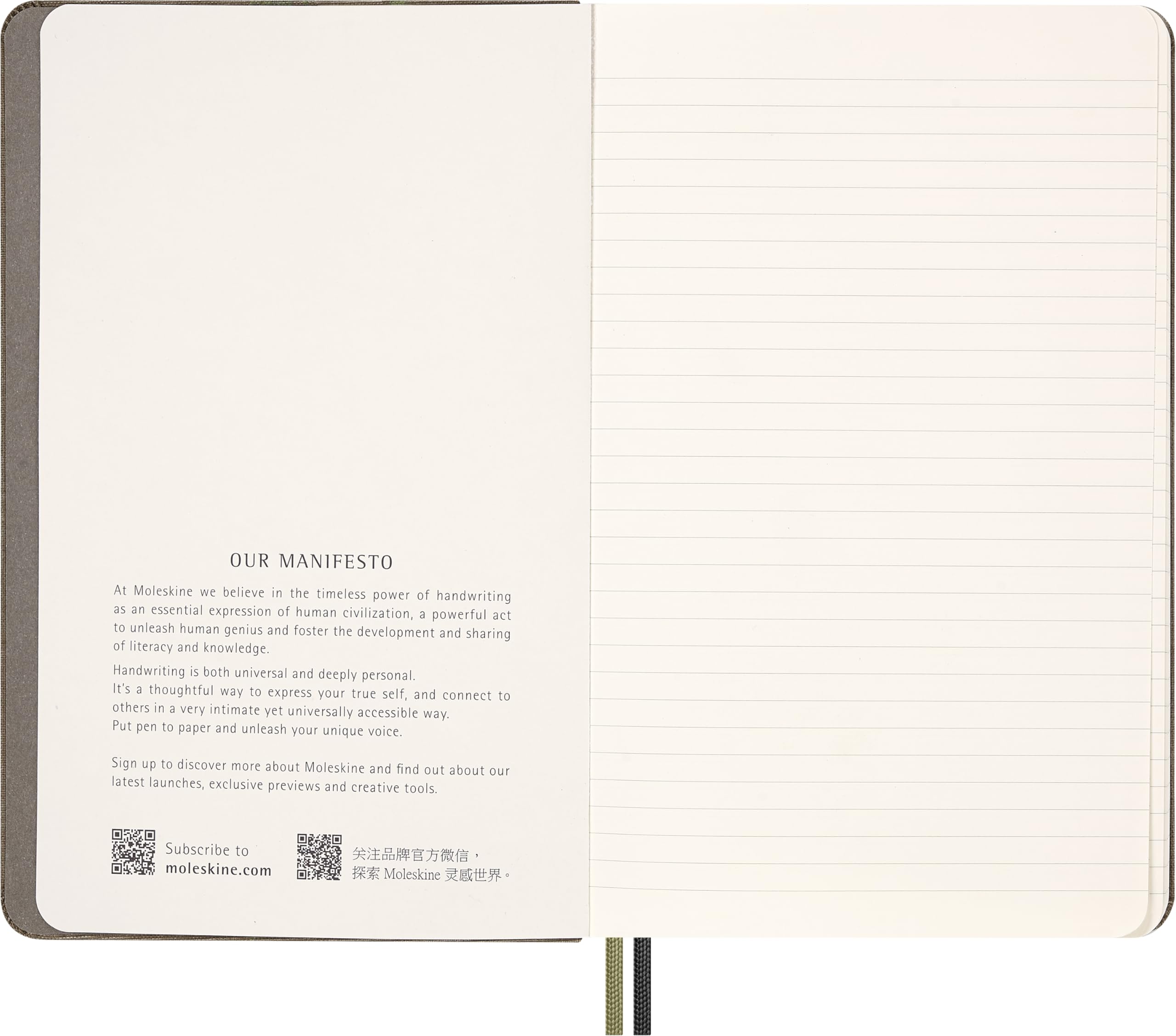 Moleskine Cofanetto da Collezione Anno Del Serpente, con Taccuino Large A Righe, Penna A Sfera Kaweco Nera, Adesivi e Buste Portafortuna in Scatola Riutilizzabile, Collezione Anno del Serpente