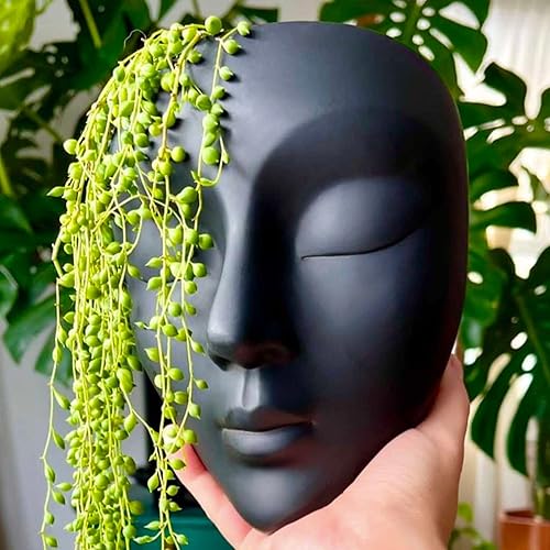 Maceta de Cara, Maceta Vertical Montable en Pared con Orificio de Drenaje, 6x5.25x3.5 pulgadas, Hormigón, Negro, Estilo Moderno, Interior, 1 Pieza,