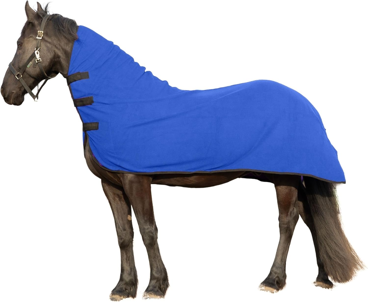 RESISTANCE Long Lasting & Warm Soft Fleece Contour Cooler for Horse (Large (74"-78"), Royal Blue)
