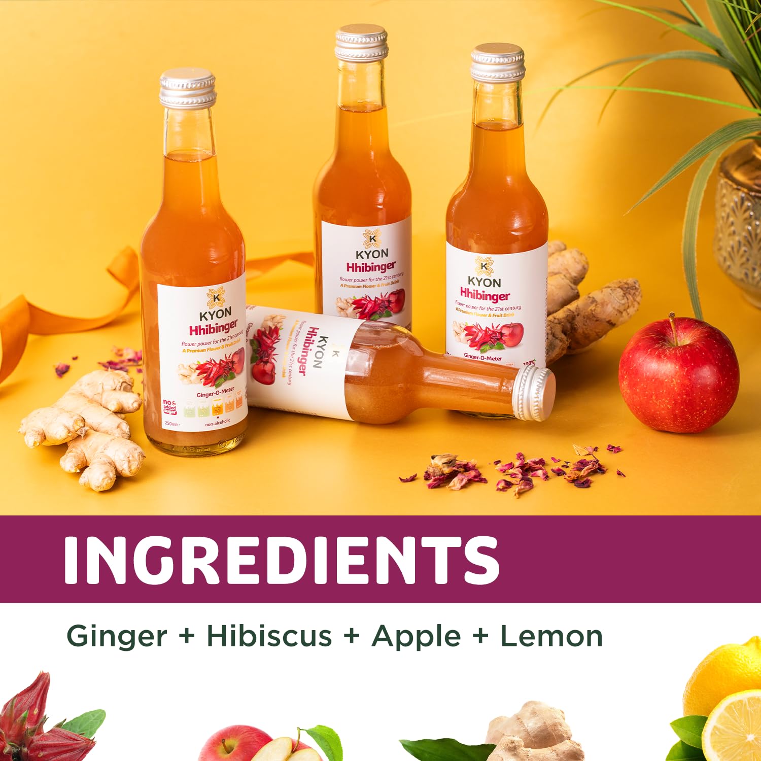Napój Kyon Ppinger – 250 ml Sok imbirowy z jabłkiem, orzeźwiający i bezalkoholowy napój imbirowy, dostępny w opakowaniach po 6, 12 i 24 sztuki (250Ml-24 Pack, Hhibinger)