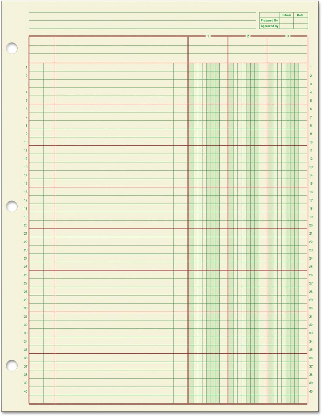 Wilson Jones Columnar Pad, ColumnWrite, 11" x 163/8 , 12