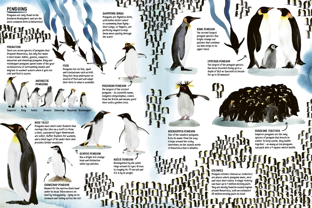 All About Antarctica
