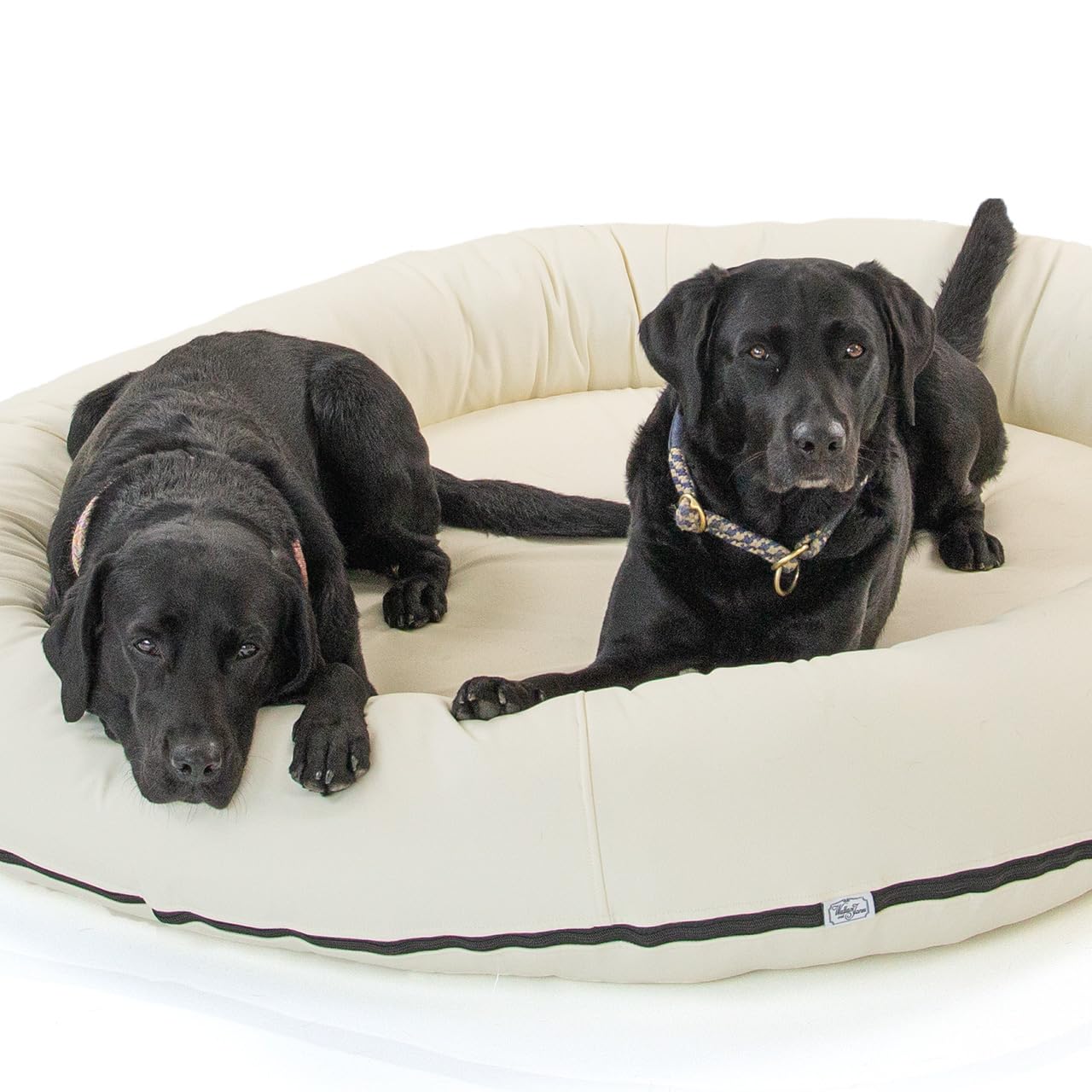 Wallace & Jones | Premium Hundebett Bolton Hundesofa 95x81 cm Hundecouch aus Kunstleder Hundebett für mittelgroße Hunde, verdeckter Zipper, waschbar, rutschfest, Creme-weiß