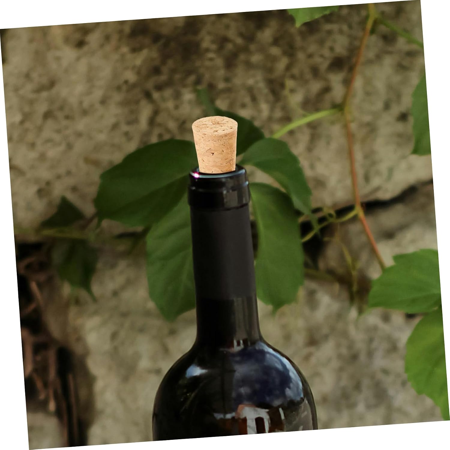 Wine Bottle Cork Stoppers 20pcs Wooden Tapered, Resealable