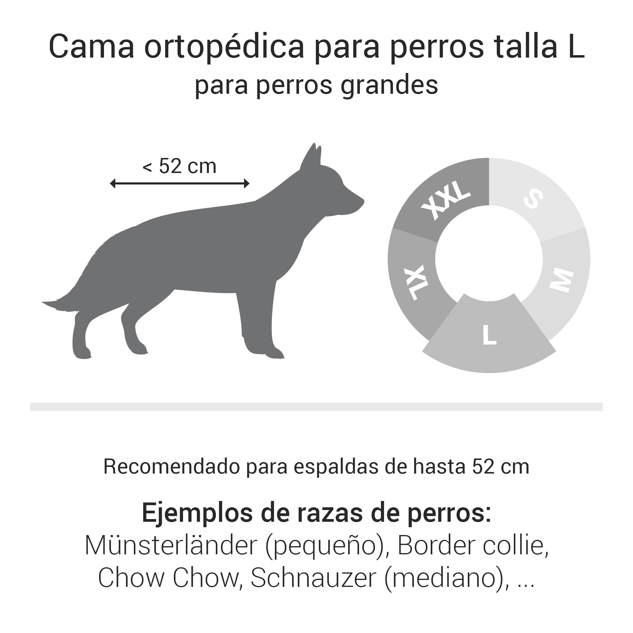 Doctor Bark Cama ortopédica para perros, lavable hasta 95 °C, sin olor e higiénica, acogedora decoración para perros grandes (90 x 80 cm, gris claro)