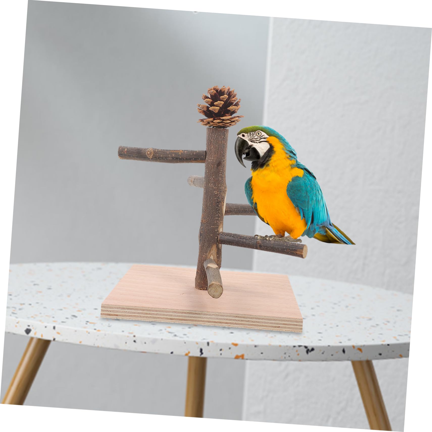 Kisangel 4 Piezas Marco De Entrenamiento De Loros Percha De Pájaro De Escritorio Percha De Pájaro De Mesa Puesto De Mesa para Loros Juguete Decorativo para Loros De Madera