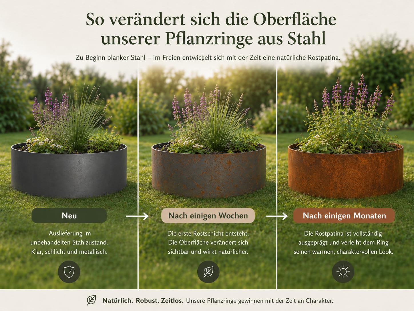 Pflanzring Edelrost Hochbeet Pflanzkübel Baumring Metallring Kräuterbeet Stahlring (1, Ø 40 cm Höhe 20 cm)