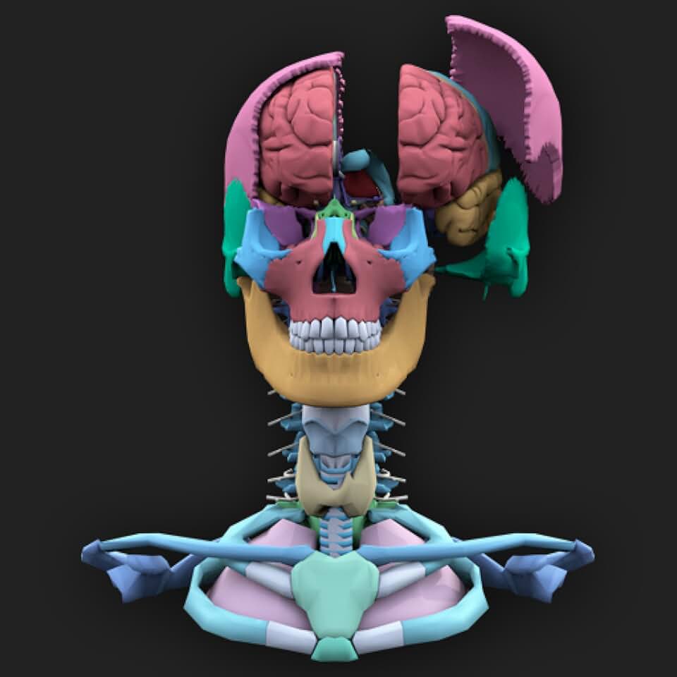 Brain apps. Brain apps