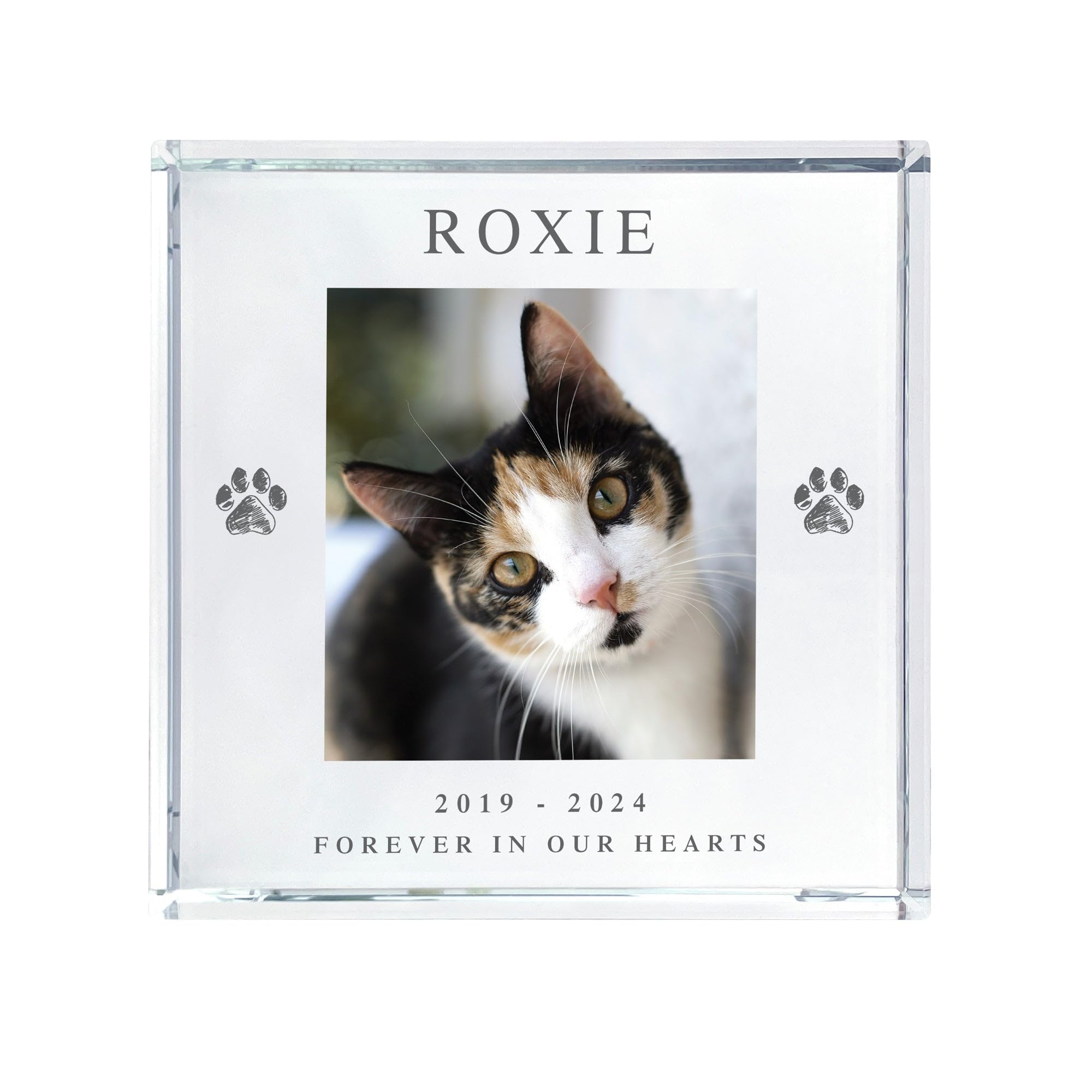 Personalised Pet Paw Prints Memorial Photo Crystal Token - Custom Message & Image | Sympathy Gift for Pet Loss | 9x9x2cm