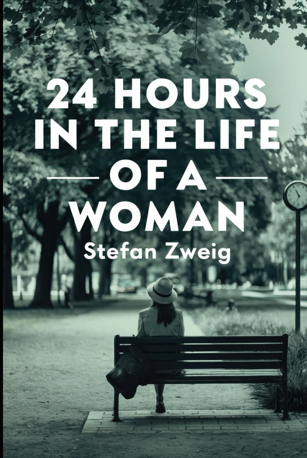 Twenty-Four Hours In The Life Of A Woman: A New Translation