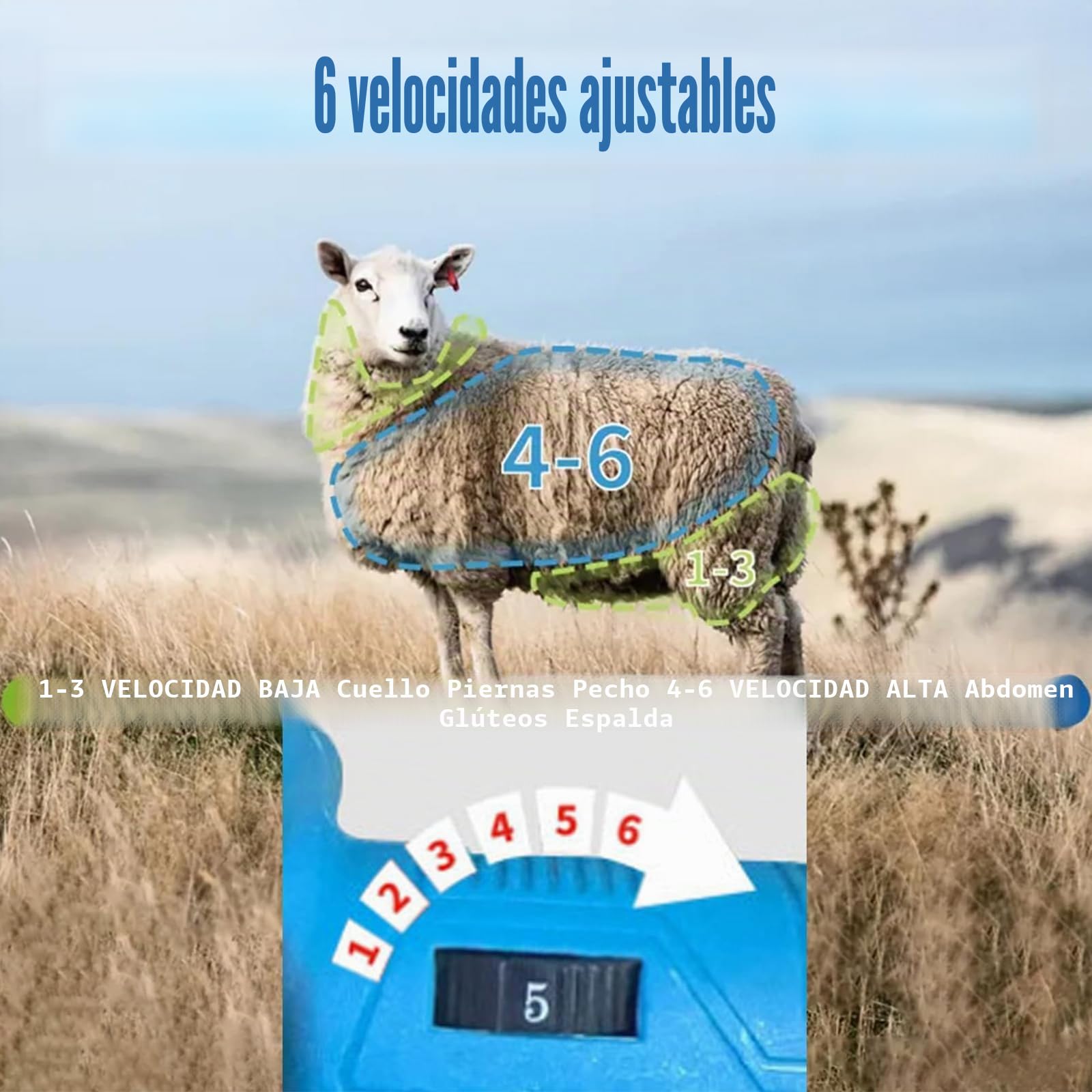 Esquiladora Eléctrica para Ovejas 300W – 21V Cortadora de Lana Inalámbrica con 2×1500mAh Baterías, Ajustable en 6 Velocidades, Cuchillas de Acero 9/13 Dientes, Esquiladora para Ganado de Pela 9-teeth