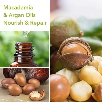 Macadamia Professional Nourishing Repair Hair Shampoo Paraben & Sulfate-Free Shampoo Repair Cleanser for Dry & Damaged Hair Care, 10 fl oz