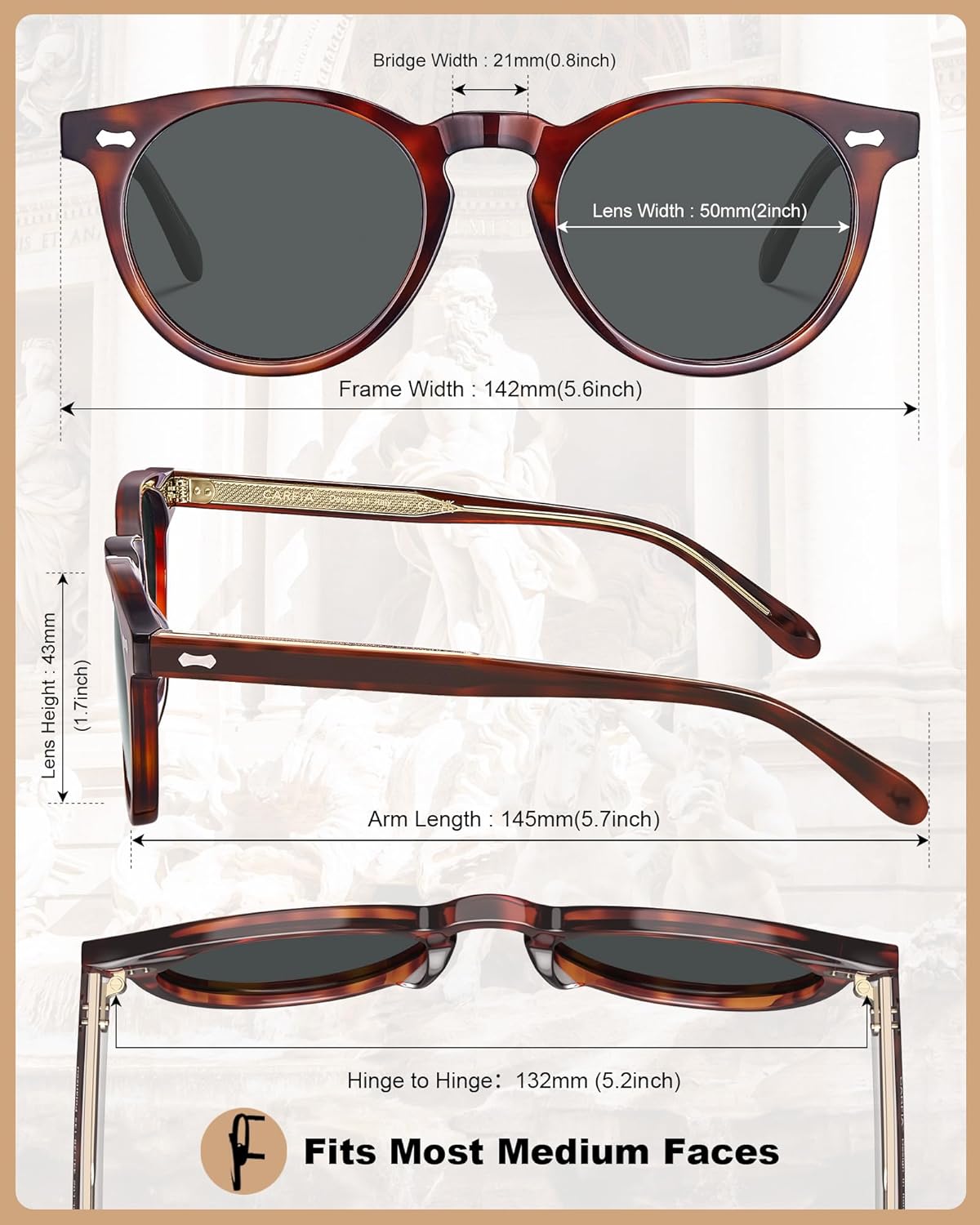 CARFIA Retro Acetate Polarized Sunglasses for Men UV Protection, Vintage Round Frame Eyewear with Gold Filigree CA5506 - Image 5