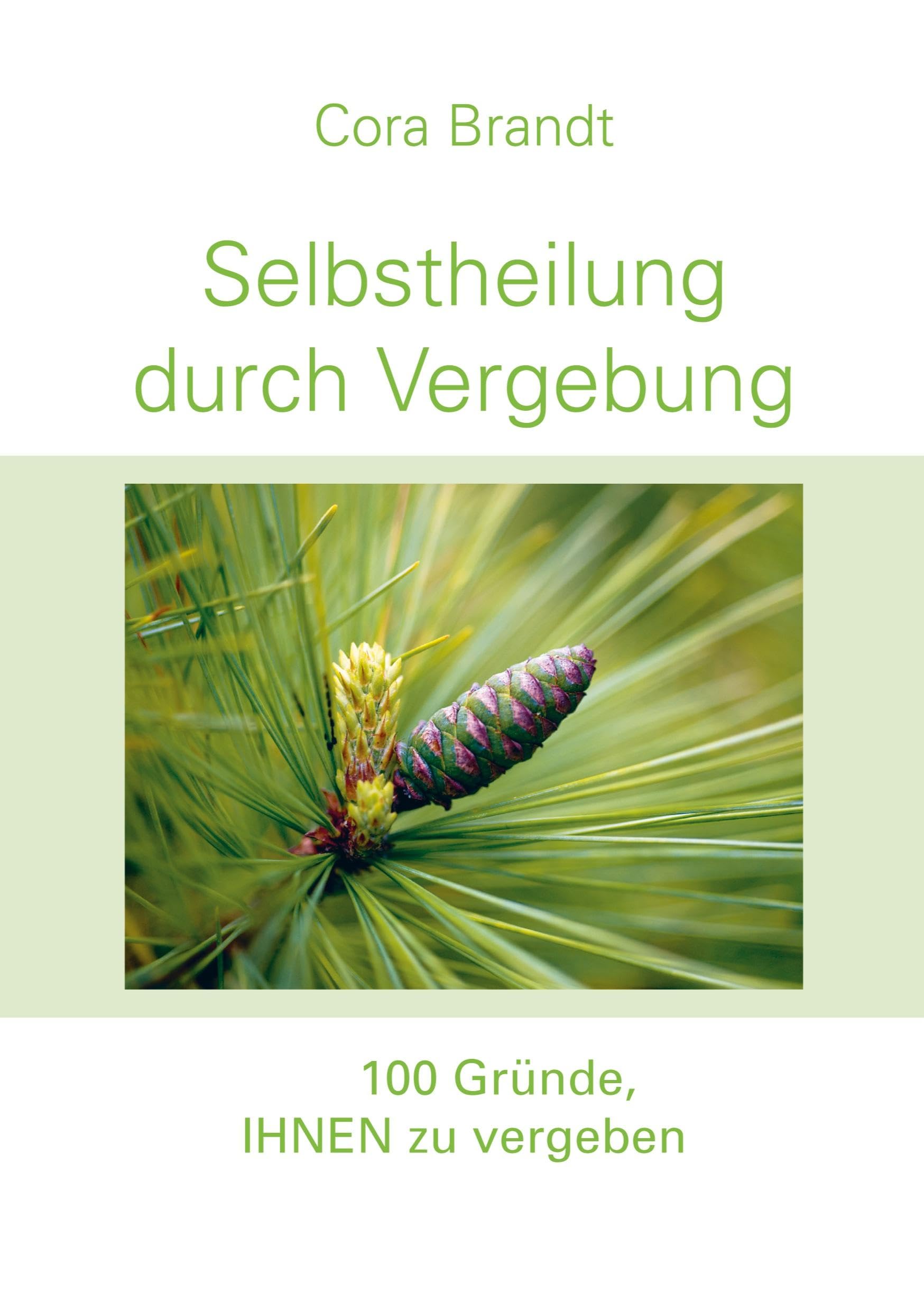 Selbstheilung durch Vergebung: 100 Gründe, IHNEN zu vergeben