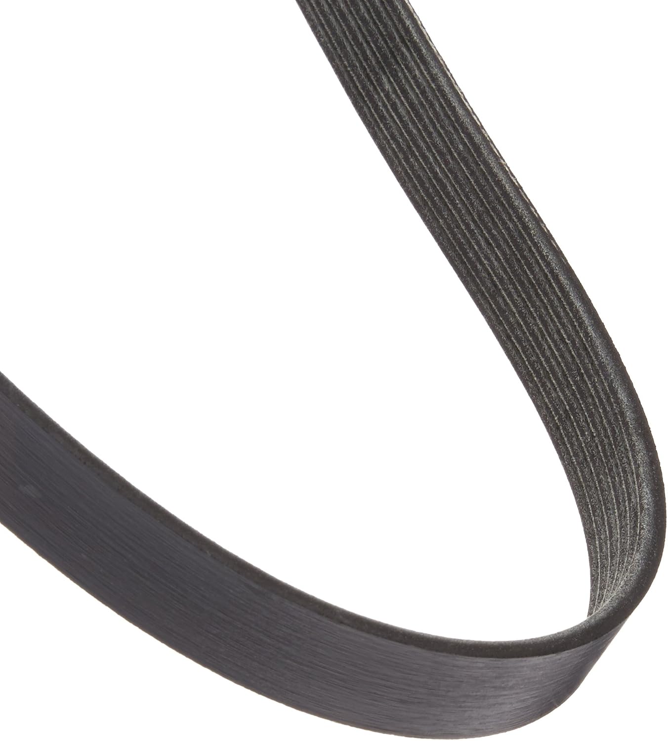 Motorcraft Drive Belt