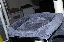 Review Image by Robin Reigns Robin Reigns