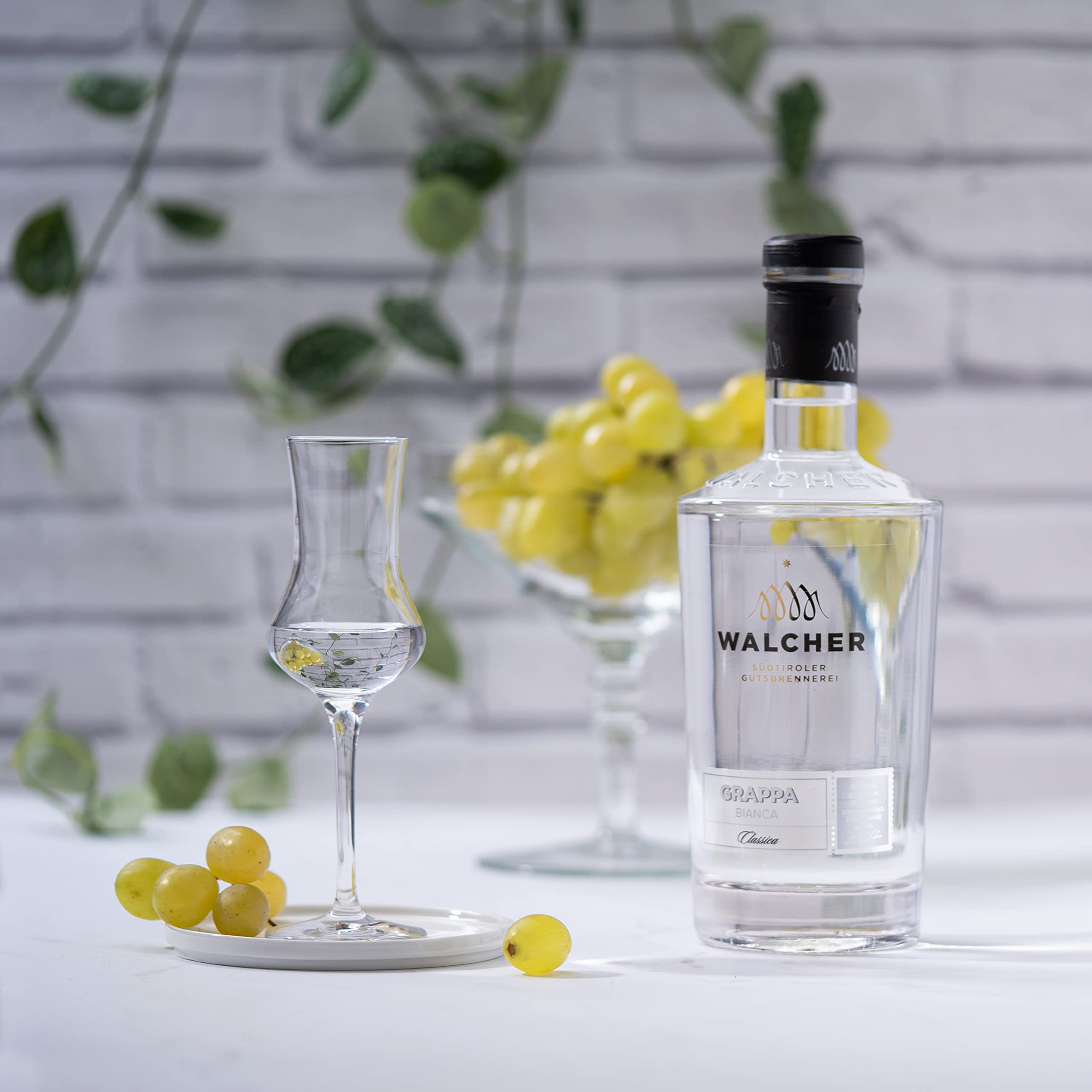 Walcher Grappa Bianca – Harmonisch, milde Grappa aus Südtirol (1 x 0,7 l)