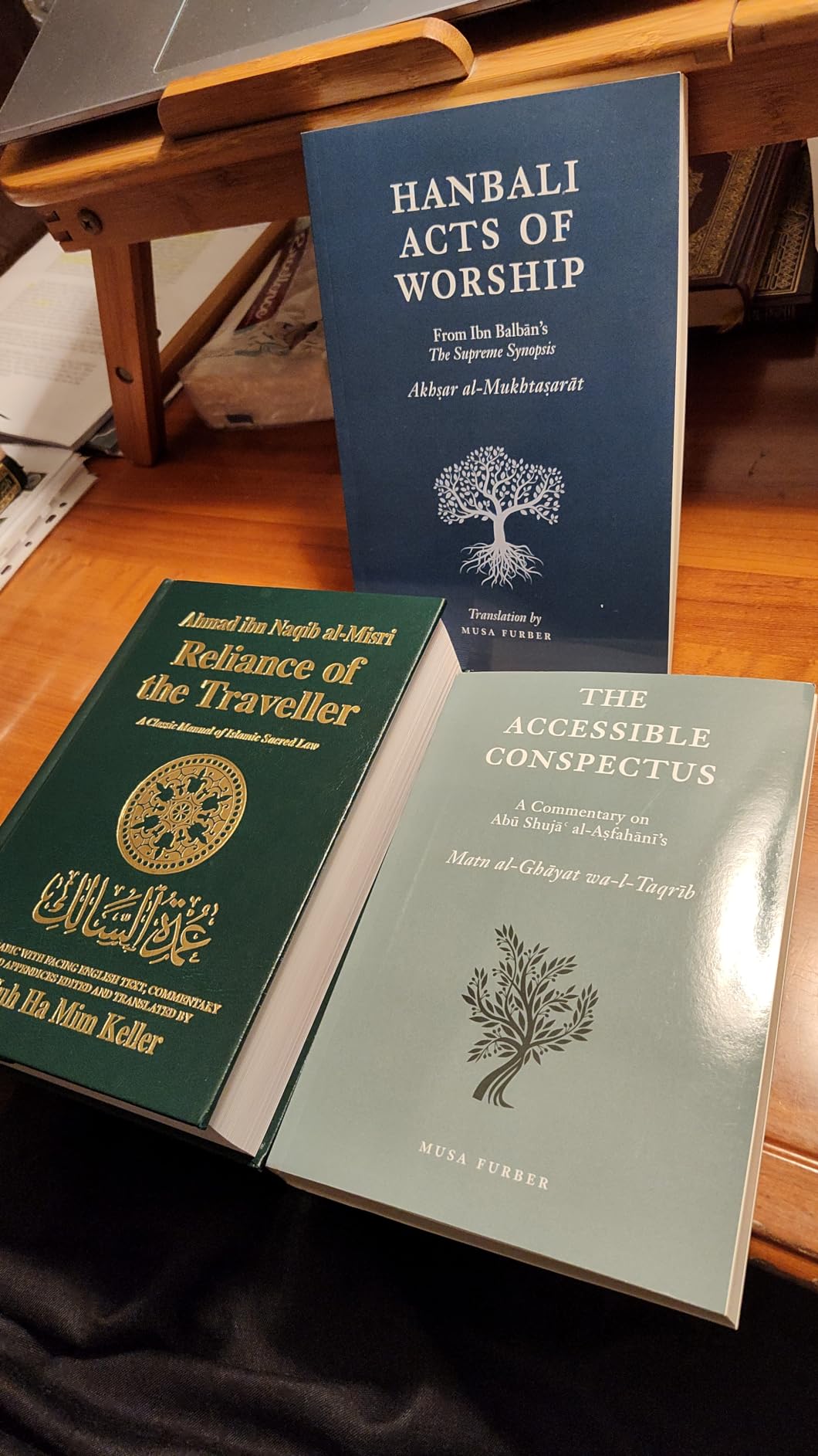 A crucial book in its field.