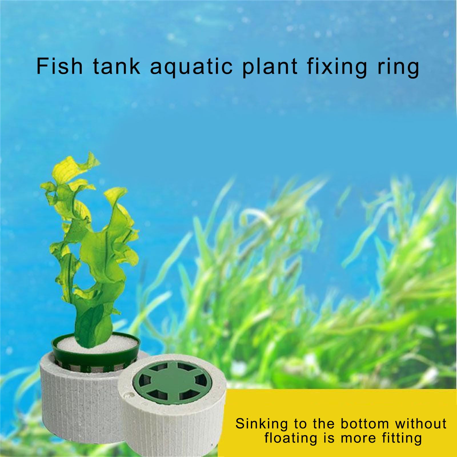 30 anillos de fijación de cerámica para plantas, estabilidad mejorada para vegetación subacuática en peceras, proyectos de paisajismo, pesas de plantas con esponja