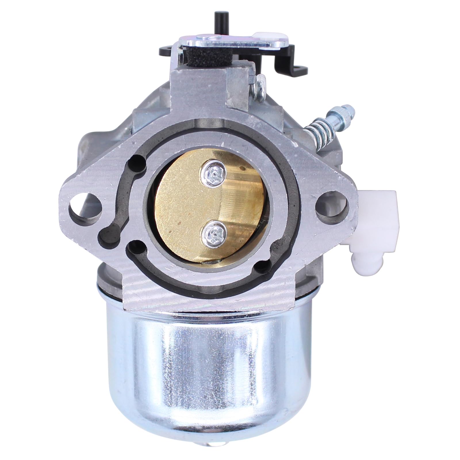 Vergaser Satz mit Luftfilter Zündkerze Dichtung Kraftstoffleitung Kraftstofffilter für Briggs & Stratton 283702 284702 286707 289702 28D702 28D707 28M706 Rasenmäher