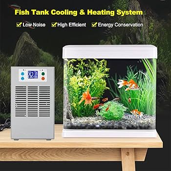 大丸【新品】ヒーター＆LED付小型水槽 黒2個・白2個 楽天市場】小型