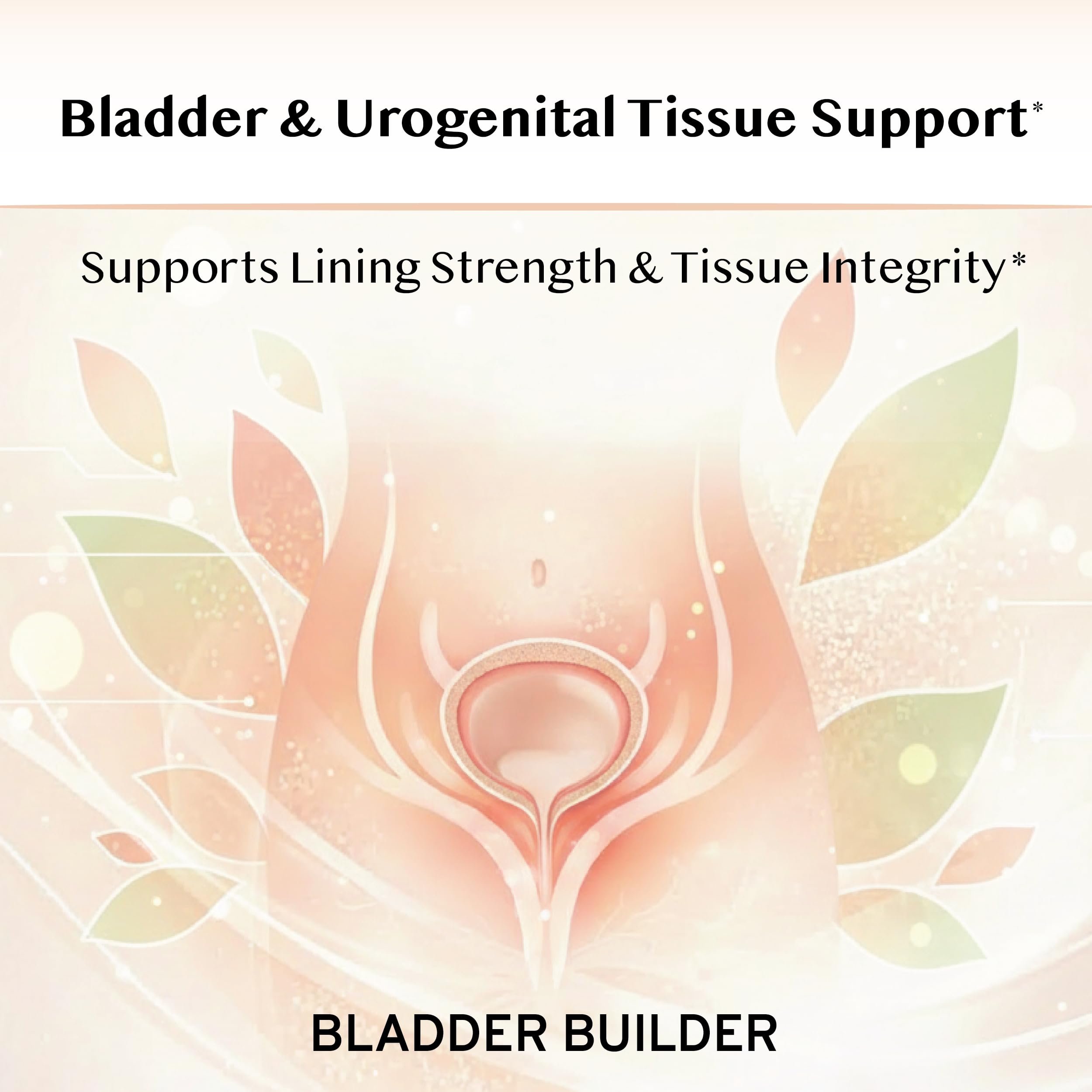 120 Capsules | For Recurring Bladder Discomfort and Urinary Tract Health | Made in the USA