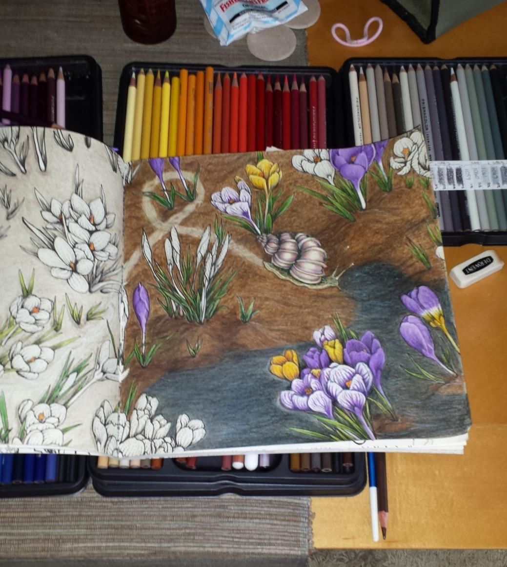 The Garden of Earthly Delights: A Lush Wonderland of Coloring For ...