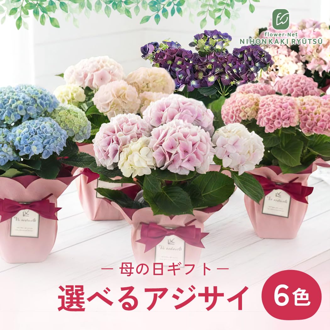 Amazon.co.jp: 【ありがとうを伝える】 母の日 花 紫陽花 シルク