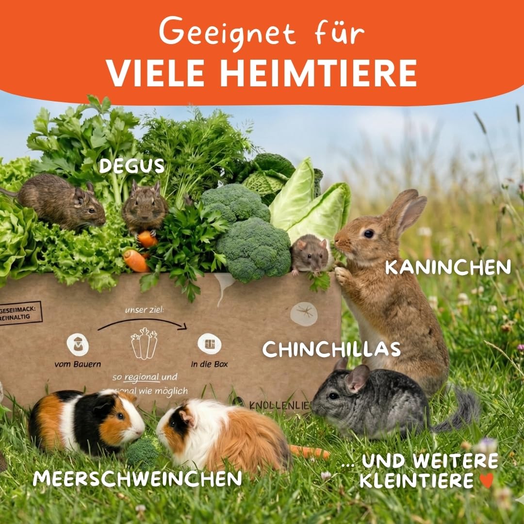 Mümmel-Mix Kleintierbox 5 kg - Knollenliebe Kräuter-Frischfutter | Aromatische Kräuterauswahl, natürlich frisch – für Kaninchen, Meerschweinchen & Co.
