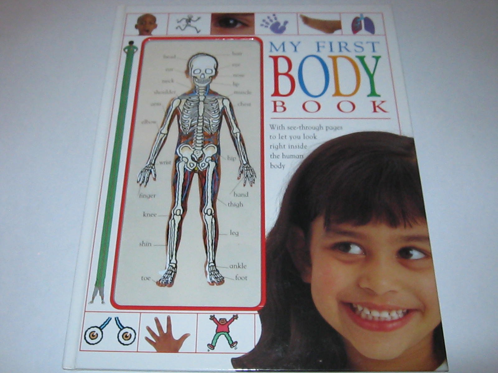 My First Body Book (Dk My First Books)