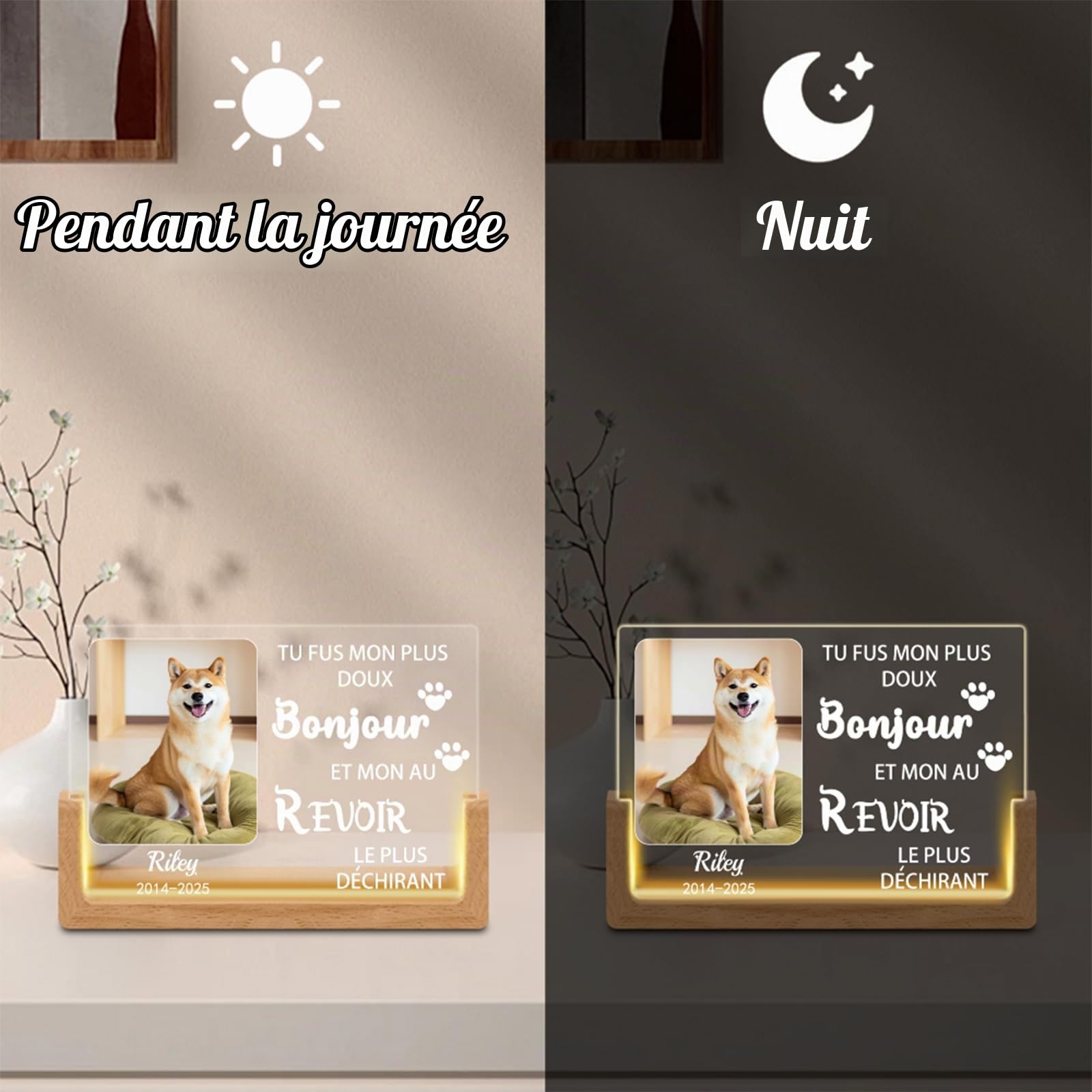 Veilleuse Mémoire pour Chien Personnalisée – Lampe LED avec Photo & Nom d'animal, Cœur & Empreintes de Patte, Cadeau de Deuil pour Amoureux des Chiens, Souvenir avec Date (Style D)