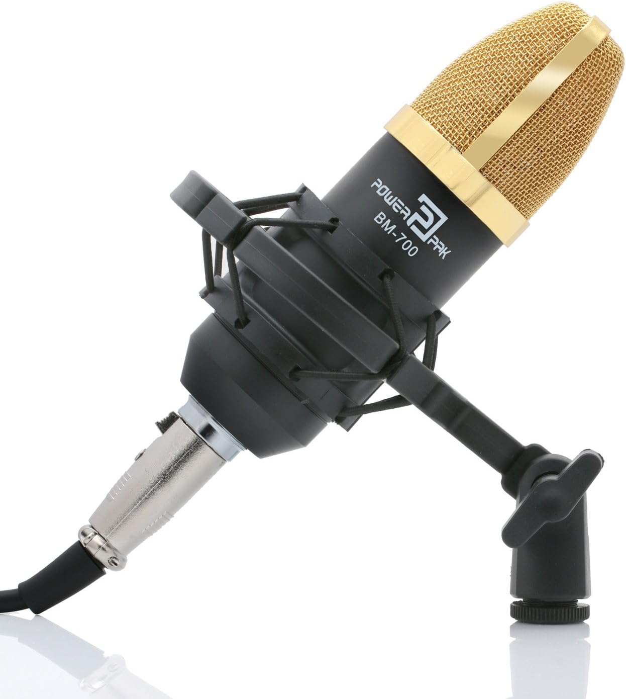 Powerpak BM-700 Black Professional Large Diaphragm Studio Recording Microphone (Requires Phantom Power or Sound Card)
