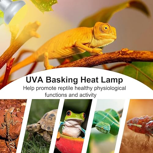 Vista 7 de Vinaco G9 Heat Lamp Bulbs for Reptile, Dimmable Night Red UVA UVB Reptile Heat Lamp G9, 2 Pin Base Mini G 9 Halogen Bulbs 50W 120V, Infrared Heat