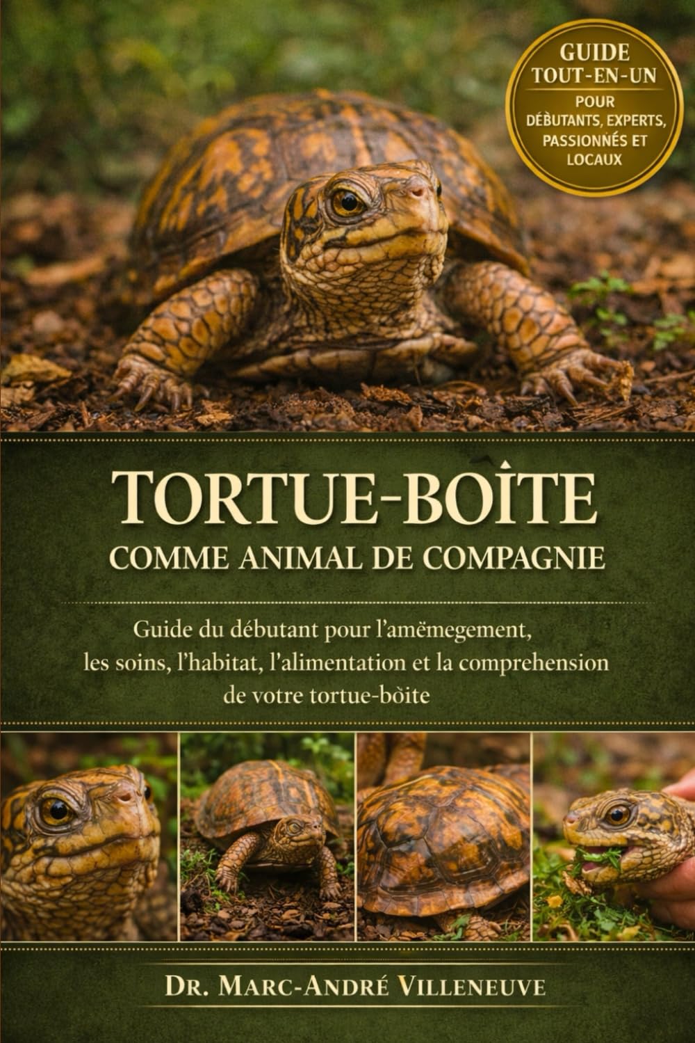 Guide Pratique pour Accueillir une Tortue-Boîte comme Animal de Compagnie