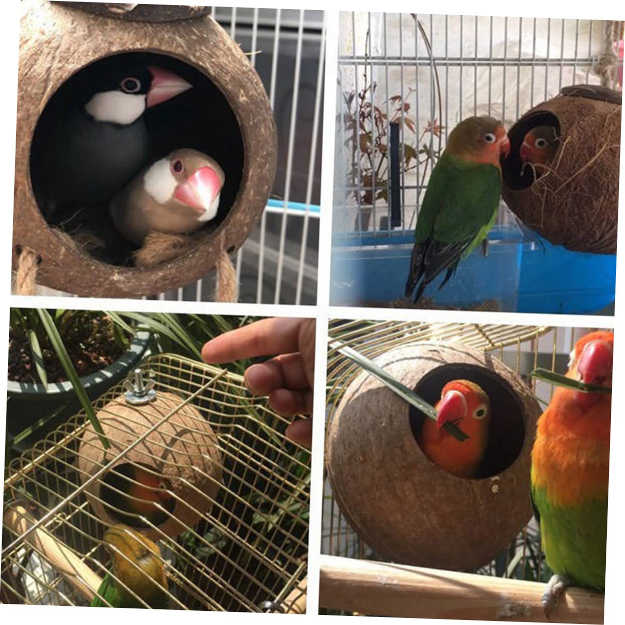 COLLBATH 2stücke Kokosnuss Vogelnest Natürlicher Schale Handgefertigter Lebensraum Für Wellensittiche Nymphensittiche Und Hamster Dekoratives Vogelhaus Für Garten Und Balkon