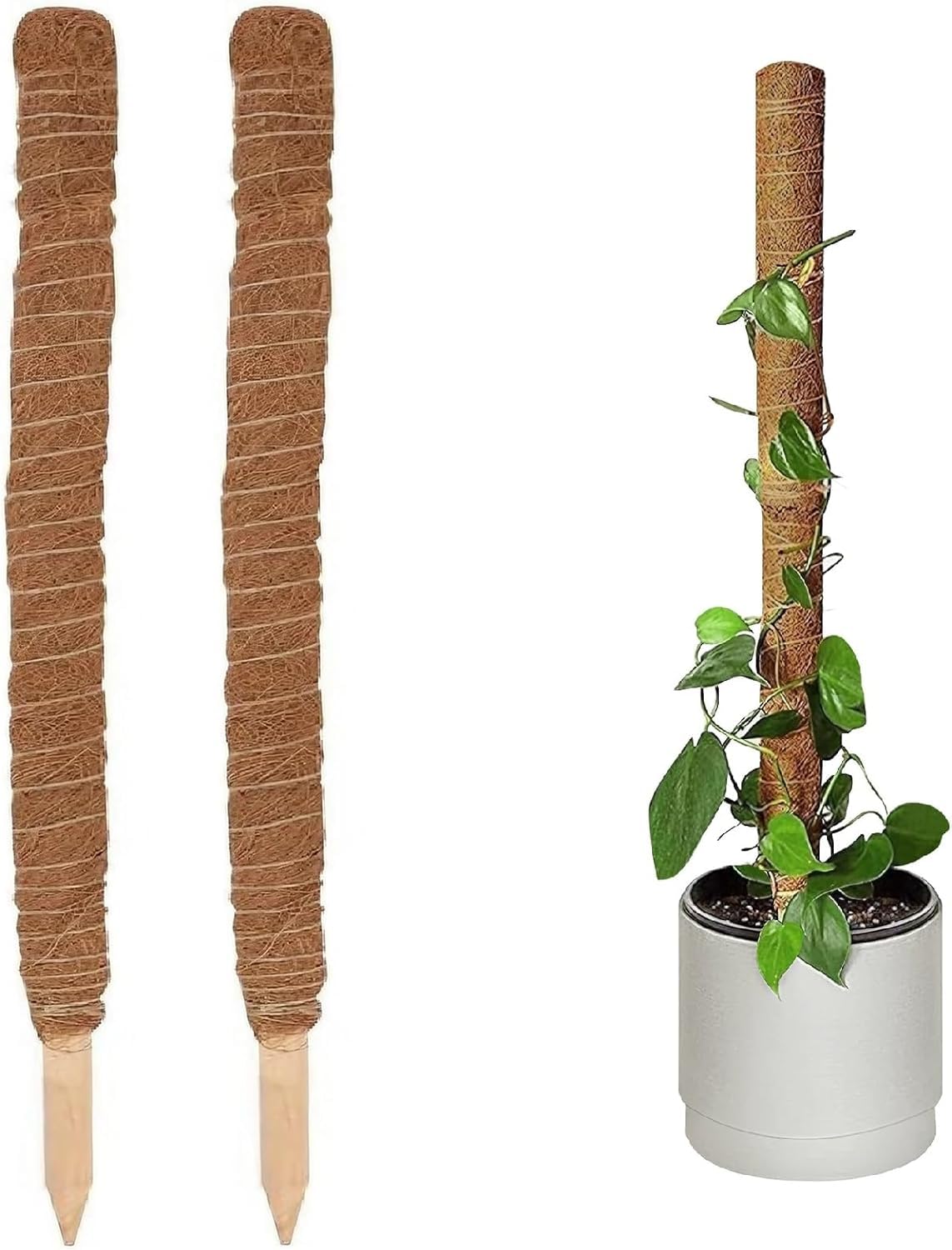Holdfiturn 2pcs Moss Pole 90cm Coir Totem Pole Moss Stick Plant Support Totem Pole Plant Climbing Coco Coir Poles for Creepers Climbing Plant