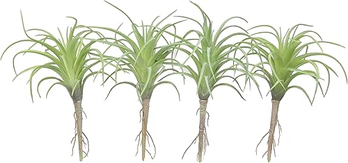 Miniatura 4 de Ebros Gift Paquete de 5 plantas de aire artificiales realistas grandes, suculentas, verde, botánica, hogar, jardín, veranda, oficina, centros de