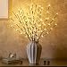 EAMBRITE Set of 2, 3PK 30" Brown Wrapped Lighted Twig Stake with 60LT Warm White LED Bulbs for Outdoor and Indoor use(Vase Excluded)