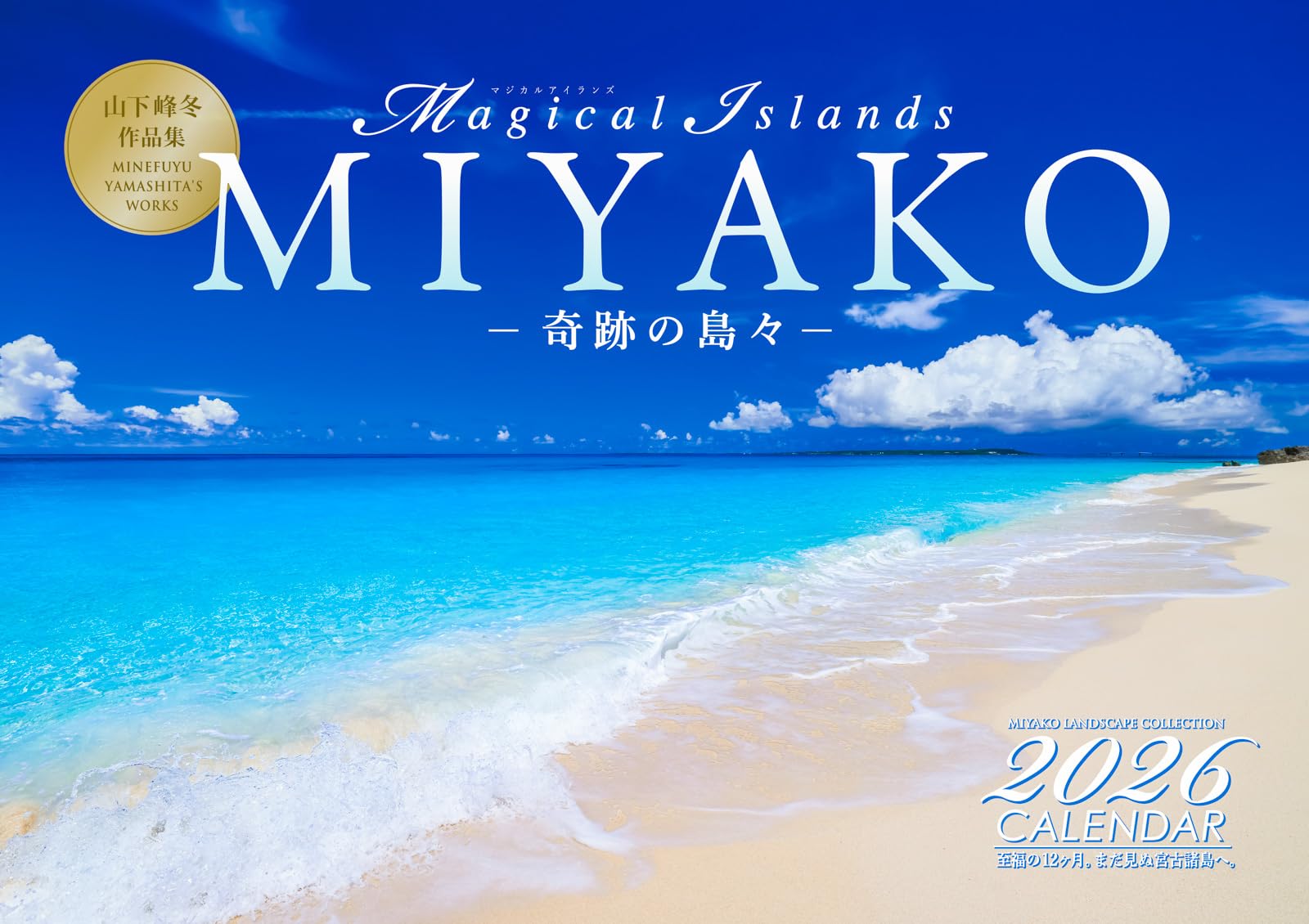 【大】海辺の潮風と太陽で天然エイジングされた無垢古木を使った壁掛けミラーNO.1 大】海辺の潮風と太陽で天然エイジングされた無垢古木を使った壁掛け