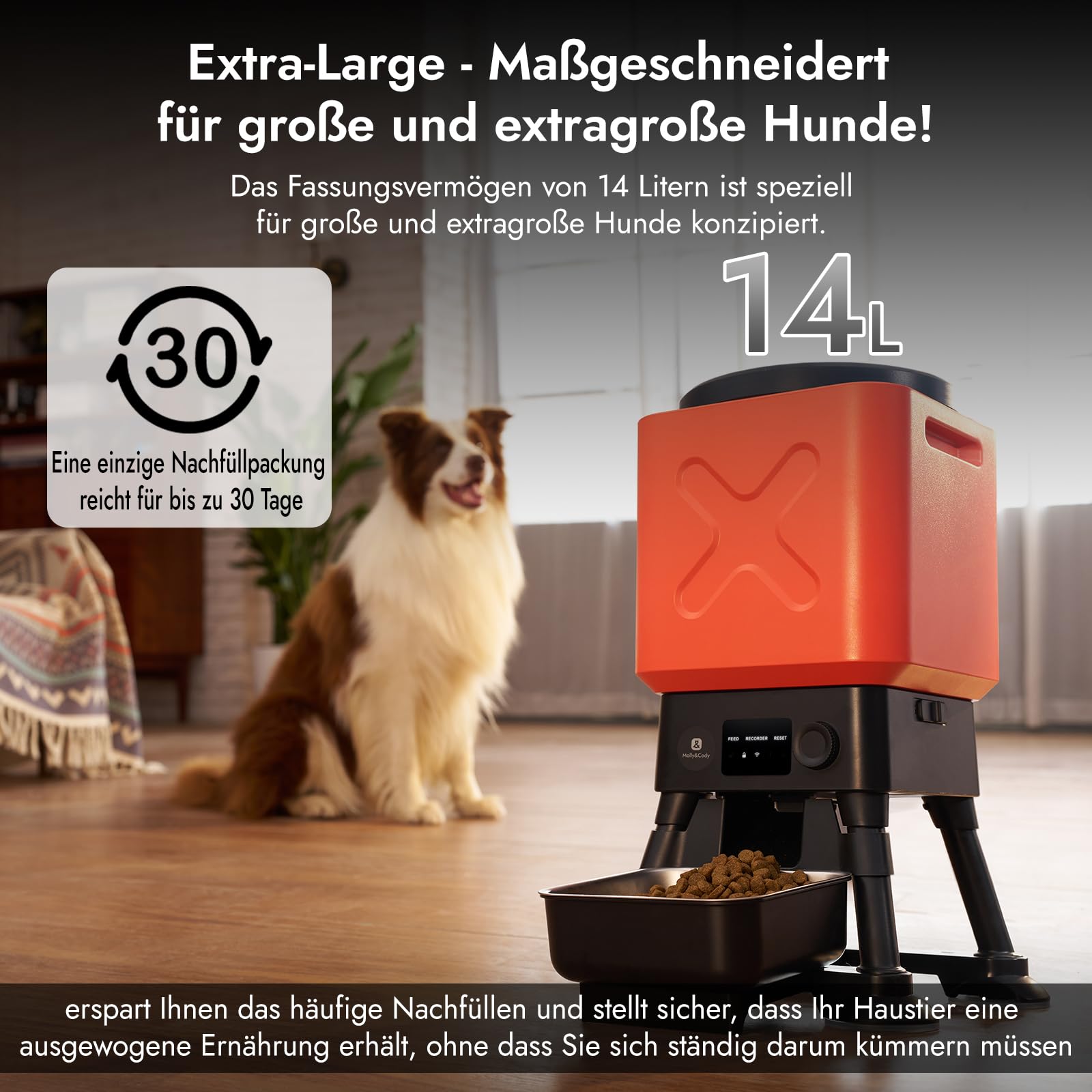 Molly&Cody Automatisierte Futterautomat, 14L große Kapazität Futterspender für große Hunde,2,4G WiFi APP-Steuerung，Dosierung eingestellt Werden kann, einfache Bedienung, mit Edelstahl-Schüssel