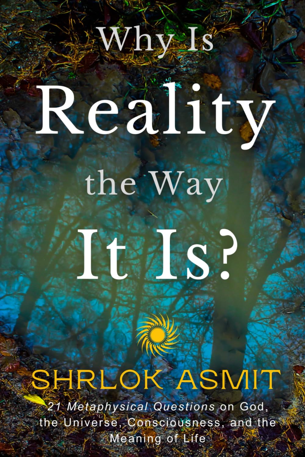 Why Is Reality the Way It Is?: 21 Metaphysical Questions on God, the Universe, Consciousness, and the Meaning of Life: 1 (The Reality of Existence Collection)