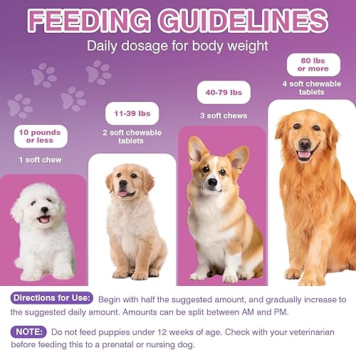 Miniatura 6 de Probióticos para perros Salud digestiva Salud intestinal para picazón en la piel Probióticos para perros para la diarrea Alivio de gases para perros