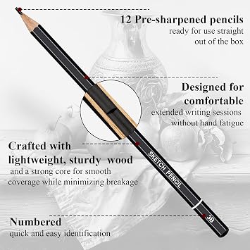 Aenir Drawing Pencils for Sketching, Set of 12 Sketch Pencils, 6B-4H