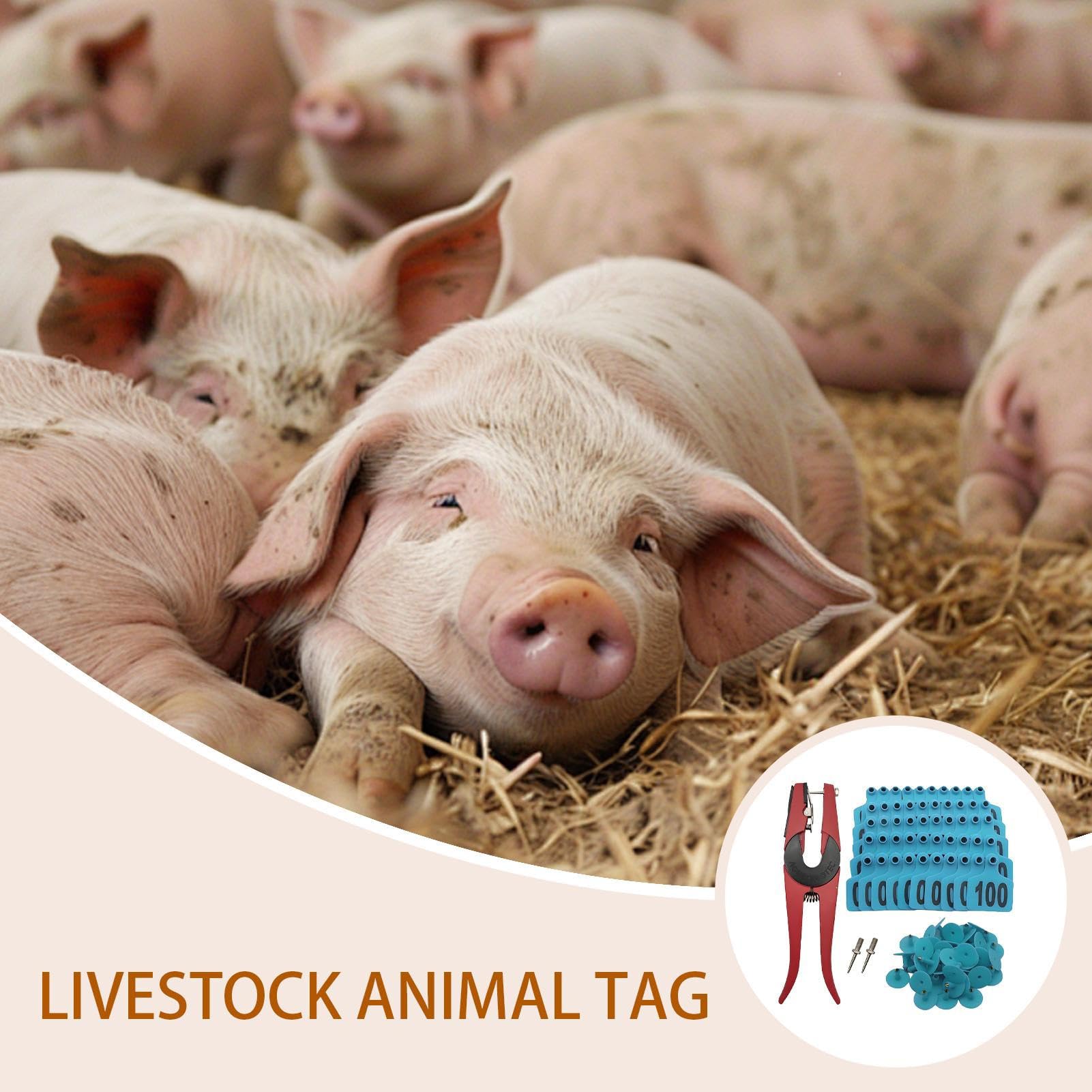 Étiquettes auriculaires pour moutons – 1 lot numérotées 001 à 100, étiquettes d'identification d'animaux avec applicateur | Étiquettes de gestion du bétail pour bovins, chèvres, programmes d'élevage