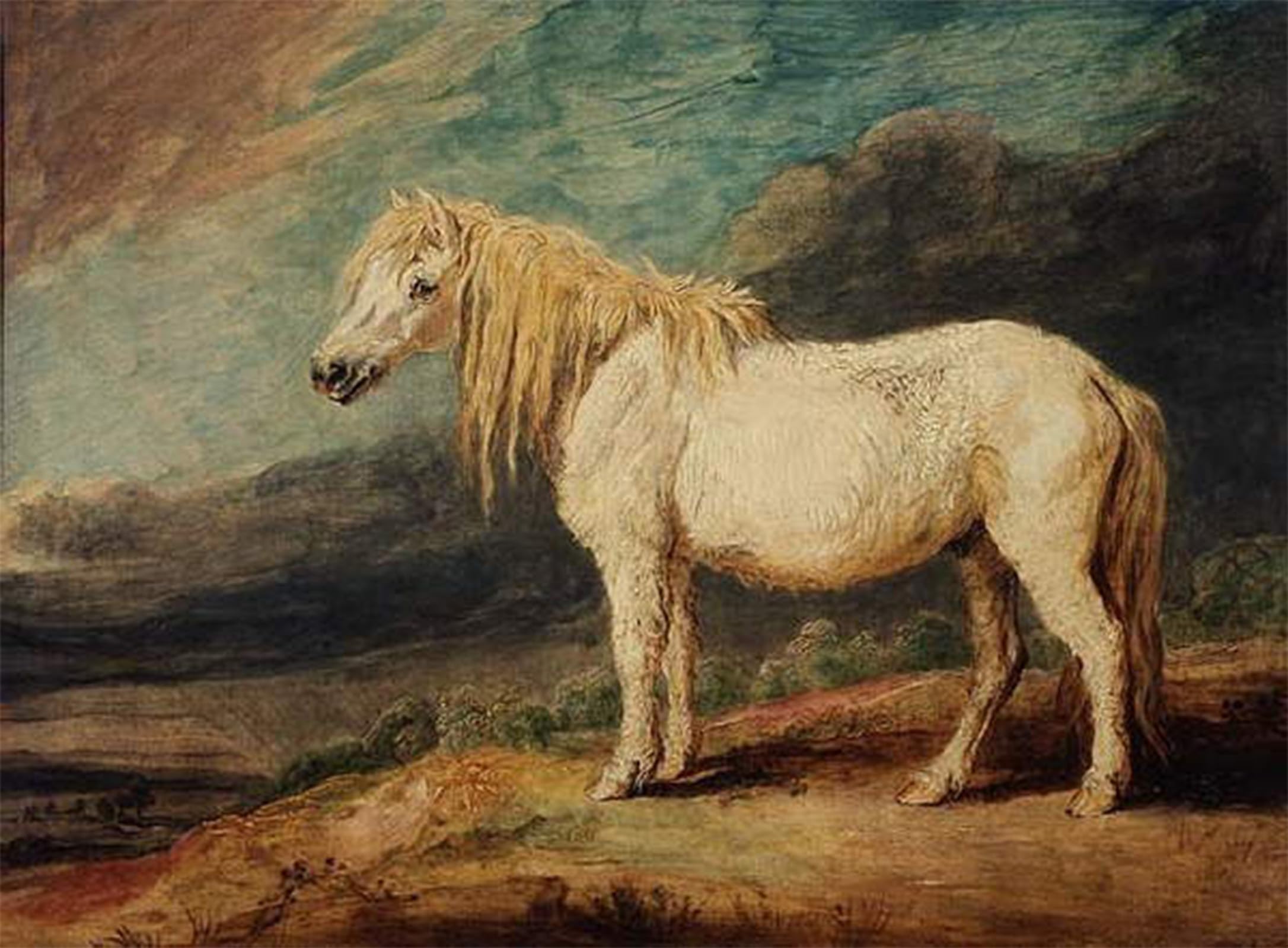 ARTXLXXBN Famous Painting Canvas Artwork Graffiti Print Shetland by Famous Artist Portrait Canvas Image for Home Decor 60x90cm