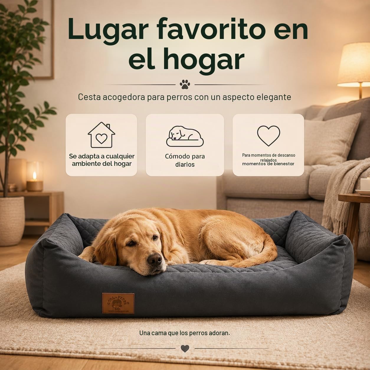 Odolplusz Cama XXL para perro con cojín reversible (tamaños y colores a elegir)