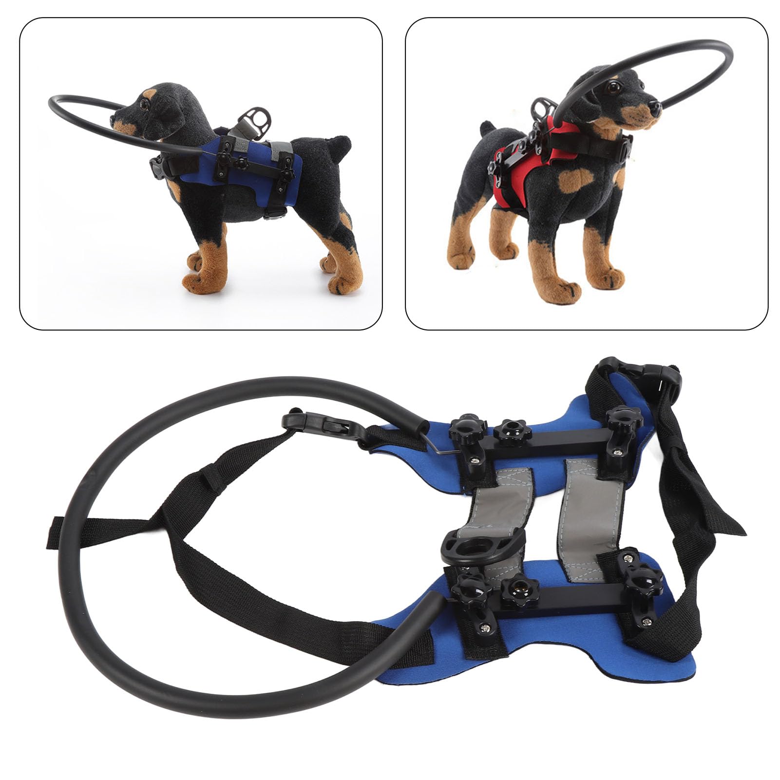 Amazon.co.jp: 盲目の犬用保護リング、盲目の犬用リングハーネス