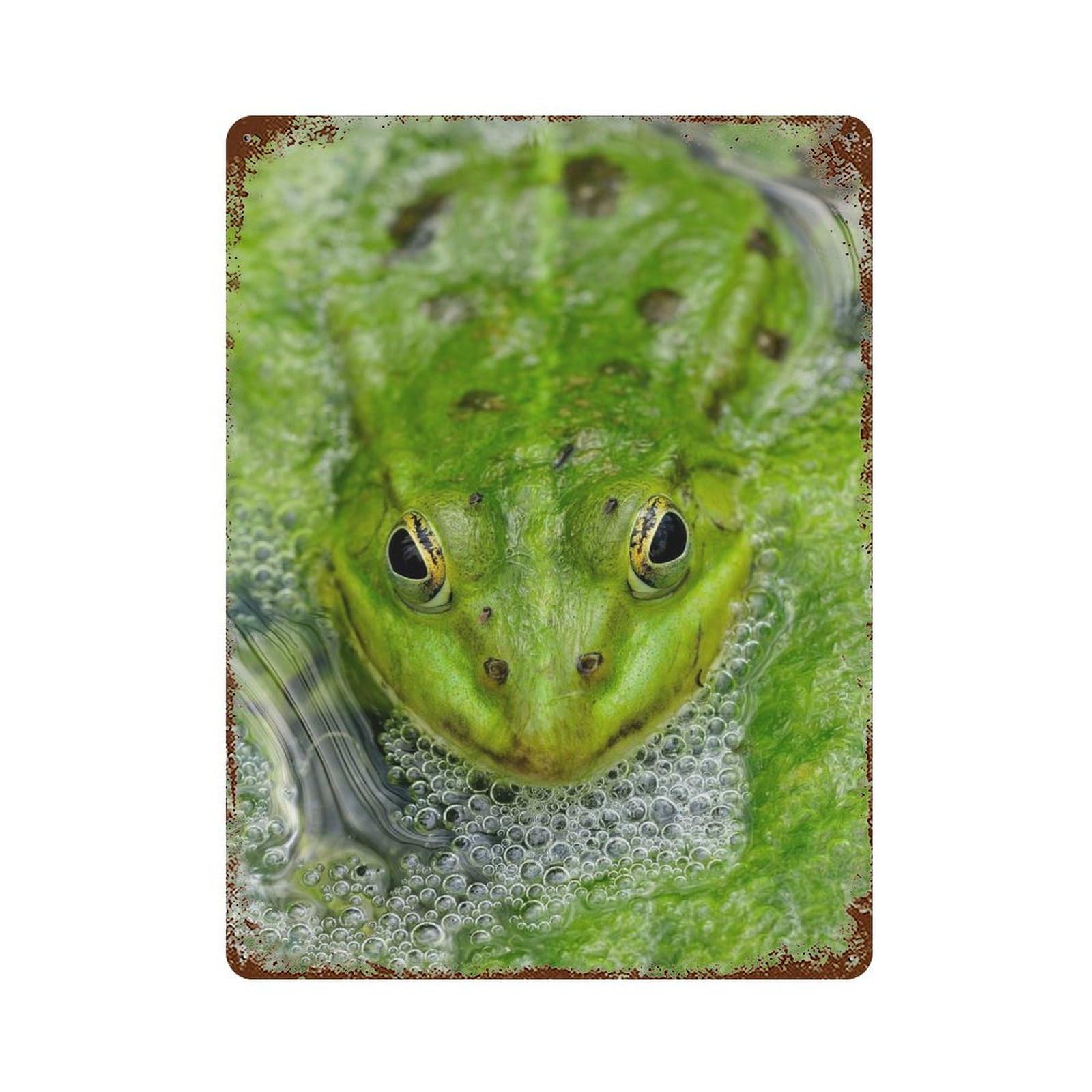 Green Frog in Pond Vintage Metal Tin Sign 15.7"x11.8", for Garage, Bar And Workshop Decor, Novelty Wall Decor