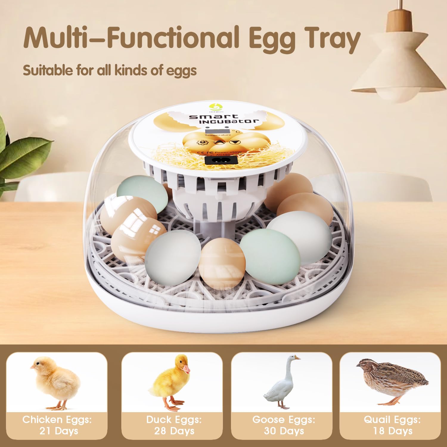 Incubatrice per uova da cova Incubatrice per uova 12 uova con rotazione automatica delle uova e controllo dell'umidità Visualizzazione a 360° per pollo, anatre, oca, piccione, quaglia